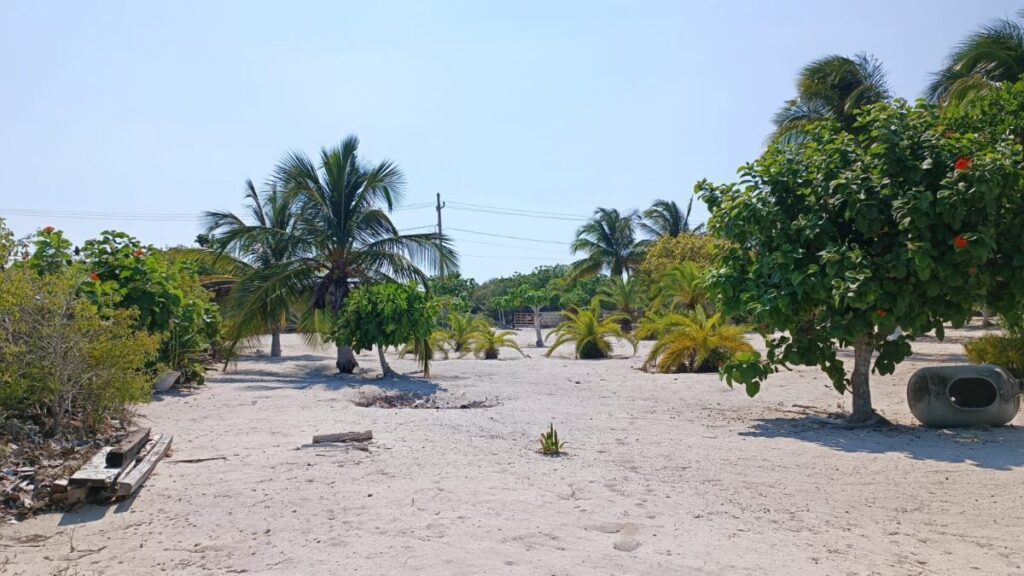 Terreno en Venta en la Playa| Uaymitún